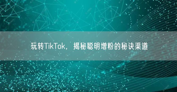 玩转TikTok，揭秘聪明增粉的秘诀渠道