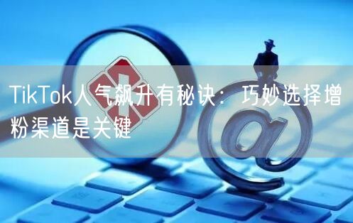TikTok人气飙升有秘诀：巧妙选择增粉渠道是关键