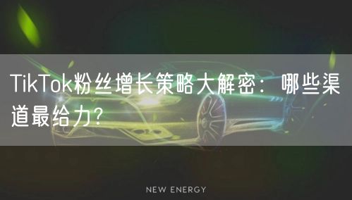 TikTok粉丝增长策略大解密：哪些渠道最给力？