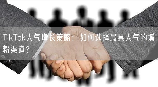 TikTok人气增长策略：如何选择最具人气的增粉渠道？