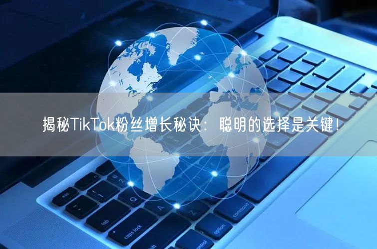 揭秘TikTok粉丝增长秘诀：聪明的选择是关键！