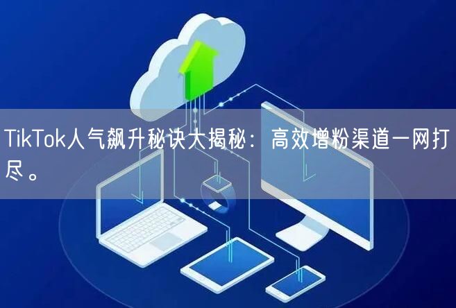 TikTok人气飙升秘诀大揭秘：高效增粉渠道一网打尽。