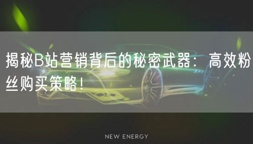 揭秘B站营销背后的秘密武器：高效粉丝购买策略！