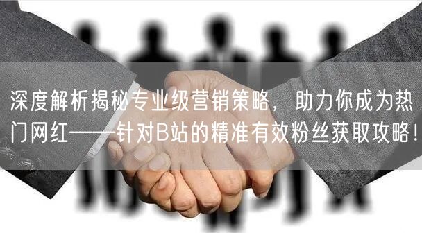 深度解析揭秘专业级营销策略，助力你成为热门网红——针对B站的精准有效粉丝获取攻略