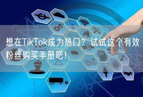 想在TikTok成为热门？试试这个有效粉丝购买手册吧！