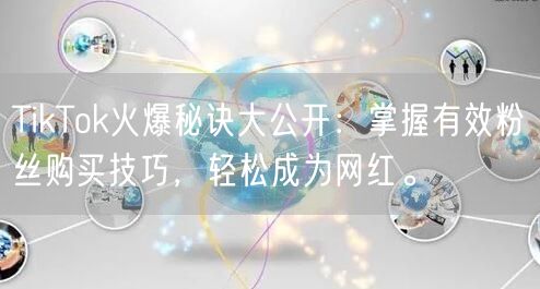 TikTok火爆秘诀大公开：掌握有效粉丝购买技巧，轻松成为网红。