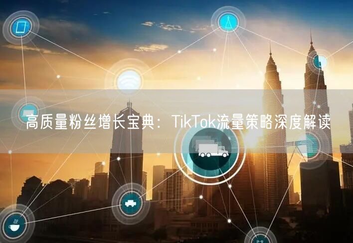 高质量粉丝增长宝典：TikTok流量策略深度解读