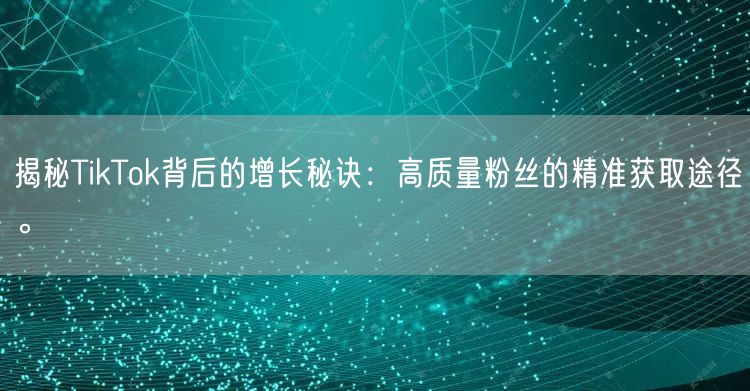 揭秘TikTok背后的增长秘诀：高质量粉丝的精准获取途径。