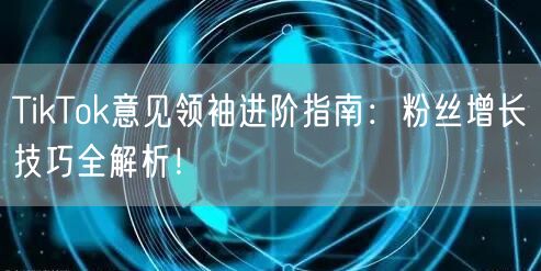 TikTok意见领袖进阶指南：粉丝增长技巧全解析！