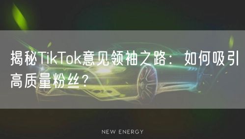 揭秘TikTok意见领袖之路：如何吸引高质量粉丝？