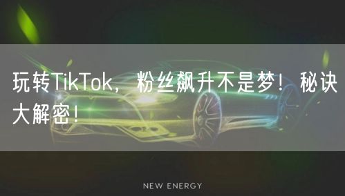 玩转TikTok，粉丝飙升不是梦！秘诀大解密！