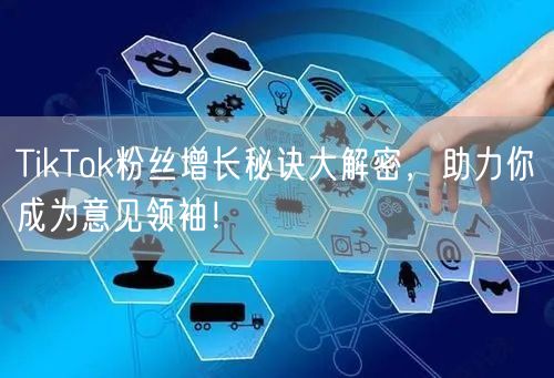 TikTok粉丝增长秘诀大解密，助力你成为意见领袖！