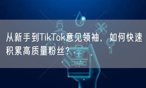 从新手到TikTok意见领袖，如何快速积累高质量粉丝？