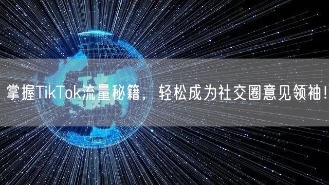 掌握TikTok流量秘籍，轻松成为社交圈意见领袖！
