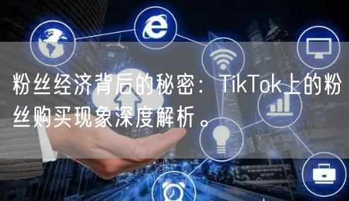 粉丝经济背后的秘密：TikTok上的粉丝购买现象深度解析。