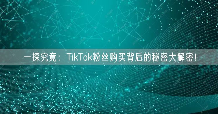 一探究竟：TikTok粉丝购买背后的秘密大解密！