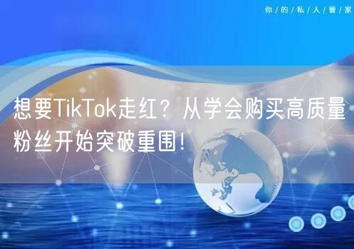 想要TikTok走红？从学会购买高质量粉丝开始突破重围！