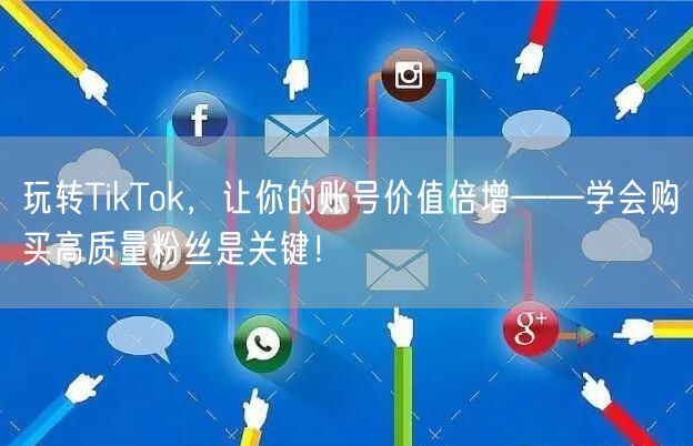 玩转TikTok，让你的账号价值倍增——学会购买高质量粉丝是关键！