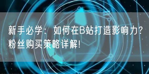 新手必学：如何在B站打造影响力？粉丝购买策略详解!