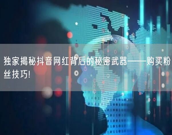 独家揭秘抖音网红背后的秘密武器——购买粉丝技巧!
