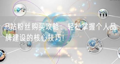 B站粉丝购买攻略：轻松掌握个人品牌建设的核心技巧！