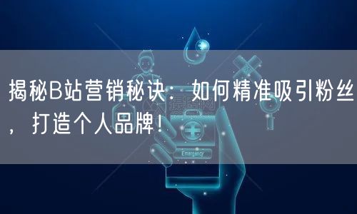 揭秘B站营销秘诀：如何精准吸引粉丝，打造个人品牌！