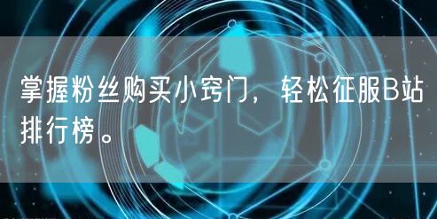 掌握粉丝购买小窍门，轻松征服B站排行榜。