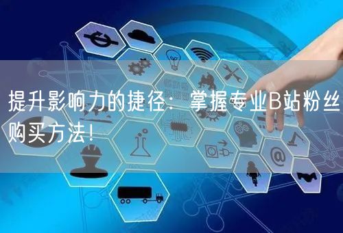 提升影响力的捷径：掌握专业B站粉丝购买方法！