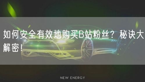 如何安全有效地购买B站粉丝？秘诀大解密！