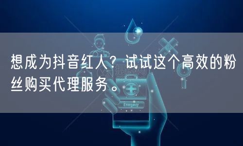 想成为抖音红人？试试这个高效的粉丝购买代理服务。