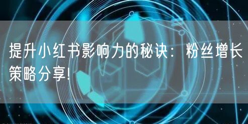 提升小红书影响力的秘诀：粉丝增长策略分享!