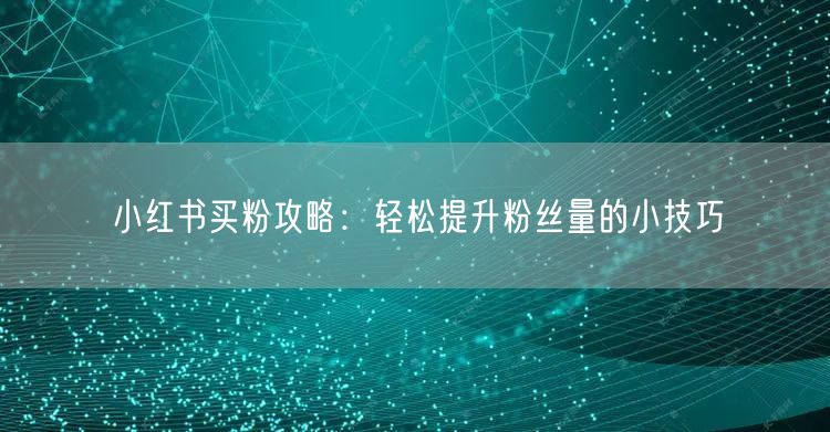 小红书买粉攻略：轻松提升粉丝量的小技巧