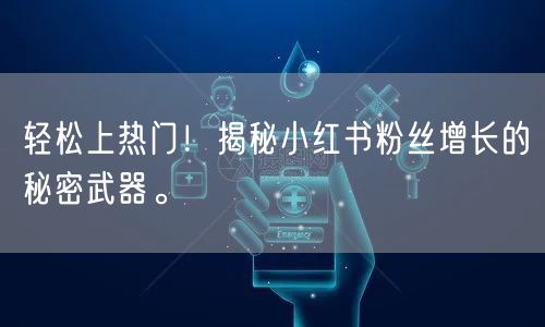 轻松上热门！揭秘小红书粉丝增长的秘密武器。