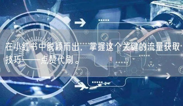 在小红书中脱颖而出，掌握这个关键的流量获取技巧——点赞代刷。