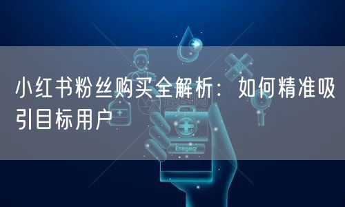小红书粉丝购买全解析：如何精准吸引目标用户