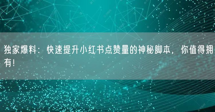 独家爆料：快速提升小红书点赞量的神秘脚本，你值得拥有！