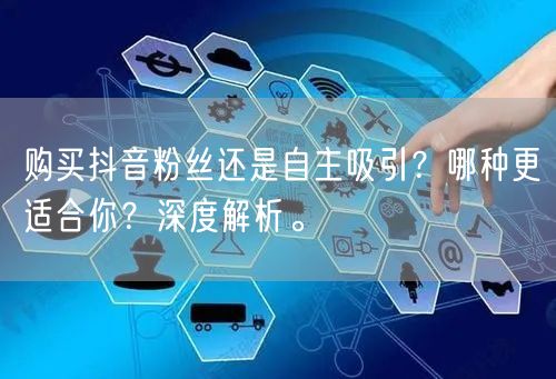 购买抖音粉丝还是自主吸引？哪种更适合你？深度解析。