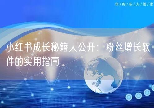 小红书成长秘籍大公开：粉丝增长软件的实用指南
