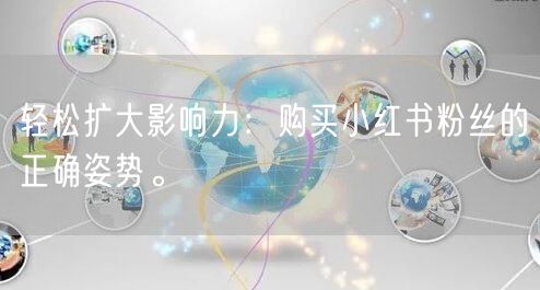 轻松扩大影响力：购买小红书粉丝的正确姿势。