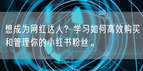 想成为网红达人？学习如何高效购买和管理你的小红书粉丝。